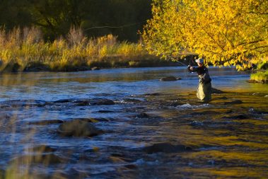 A woman fly fisher casting on the Provo River
