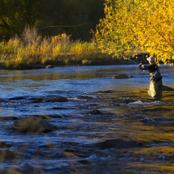 A woman fly fisher casting on the Provo River