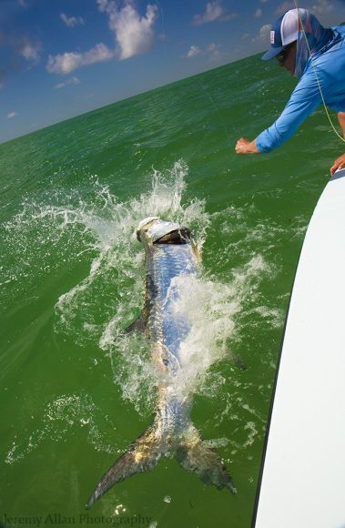 Tarpon fishing in the Florida Keys