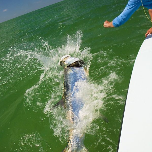 Tarpon fishing in the Florida Keys