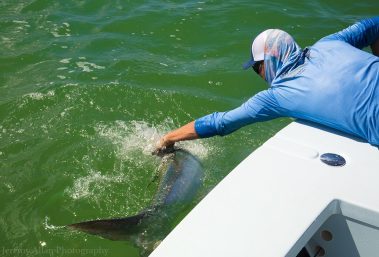 Tarpon fishing in the Florida Keys