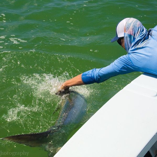 Tarpon fishing in the Florida Keys