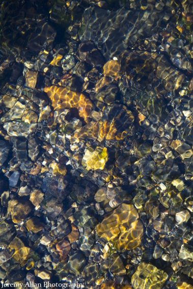 Clear water flowing over rocks in Montana