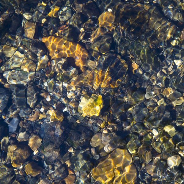 Clear water flowing over rocks in Montana