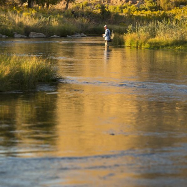 Evening fly fishing on the Oasis