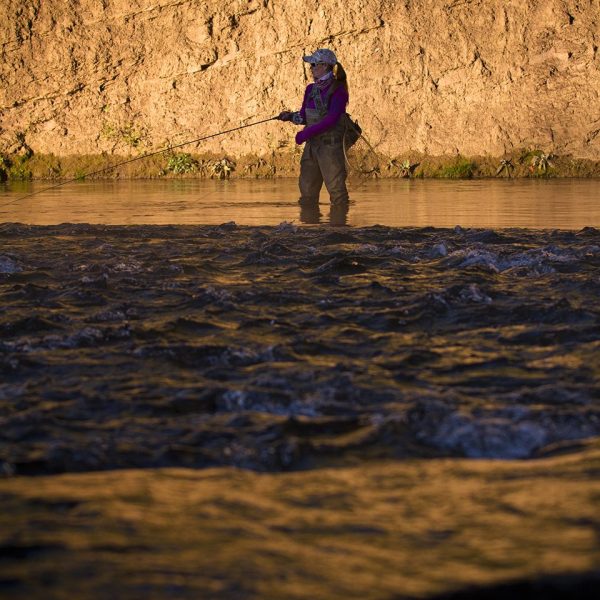 A woman fly fisher casting on the Provo River