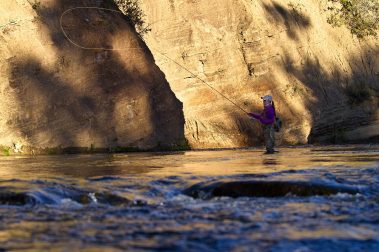 A woman fly fisher casting on the Provo River
