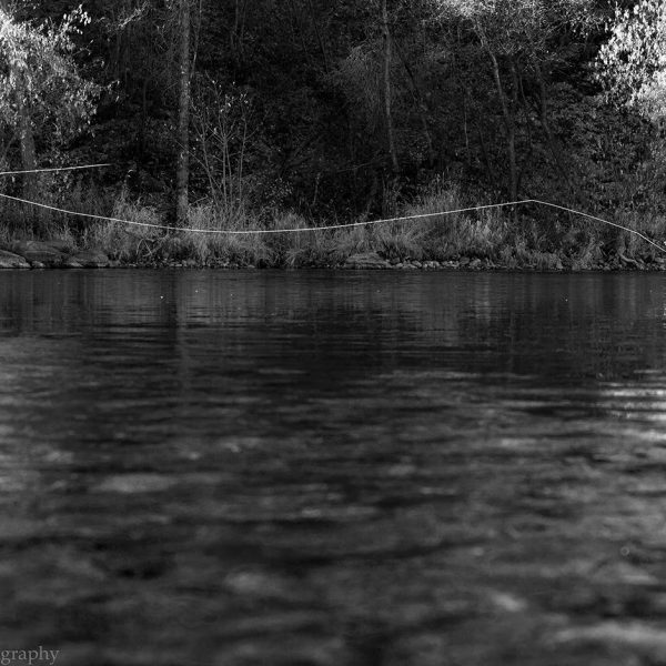 Dry fly casting on the Provo River. Utah fly fishing photography by Jeremy Allan.