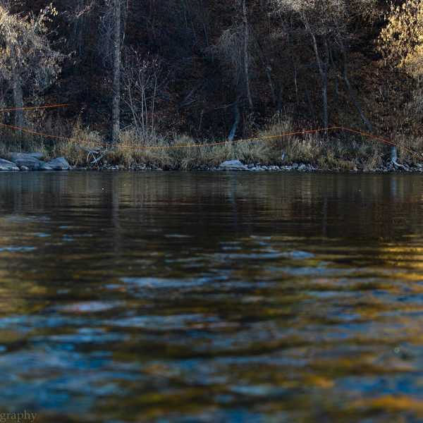 Dry fly casting on the Provo River. Utah fine art prints by Jeremy Allan.