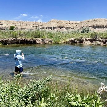 A fly fisherman hooked up with a trout standing in a beautiful stream in Utah