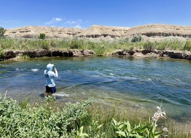 A fly fisherman hooked up with a trout standing in a beautiful stream in Utah