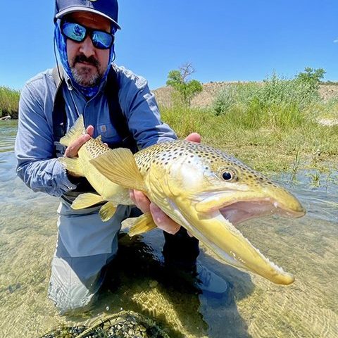 A fly fisherman holding a big brown trout caught with fly fishing guide Jeremy Allan