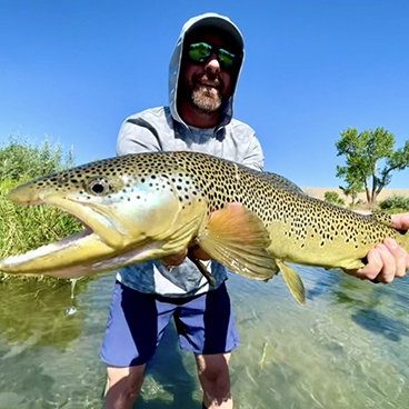 A nice brown caught on a Small Stream guided fly fishing trip with Jeremy Allan Fly Fishing