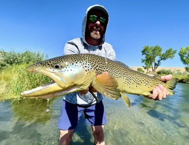 A nice brown caught on a Small Stream guided fly fishing trip with Jeremy Allan Fly Fishing