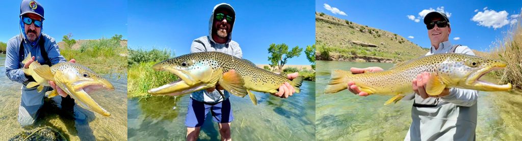 2025 Big Fish Contest Trout